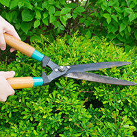 Nettoyage et entretien de jardins de résidences